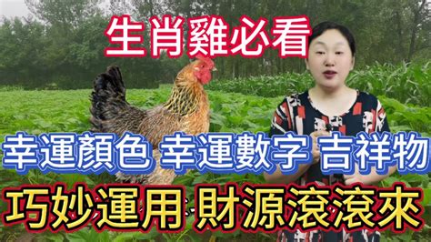 雞 幸運色|屬雞必看：幸運色改變你命運